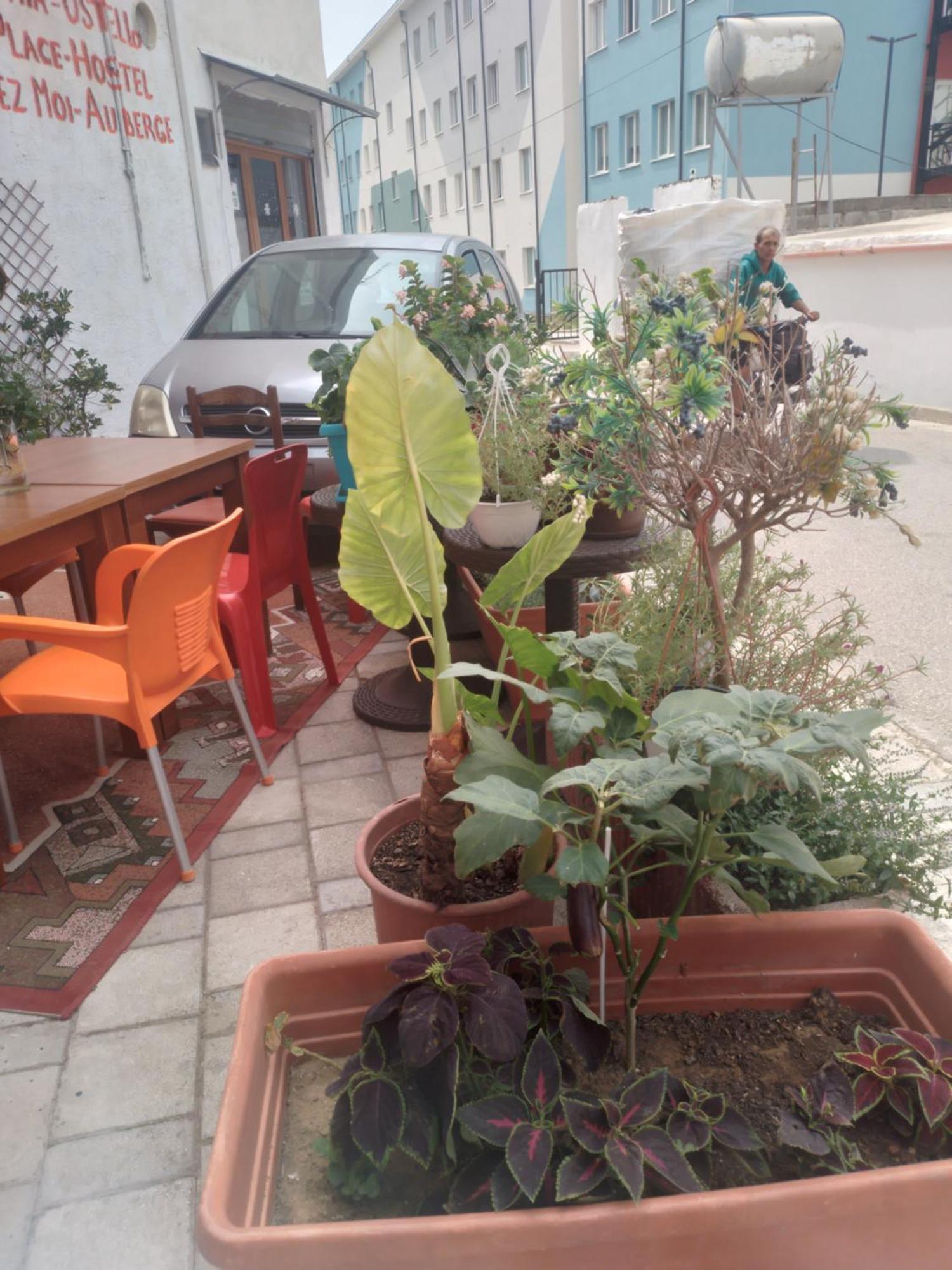 Casa Mia Hostel Vlora Kültér fotó