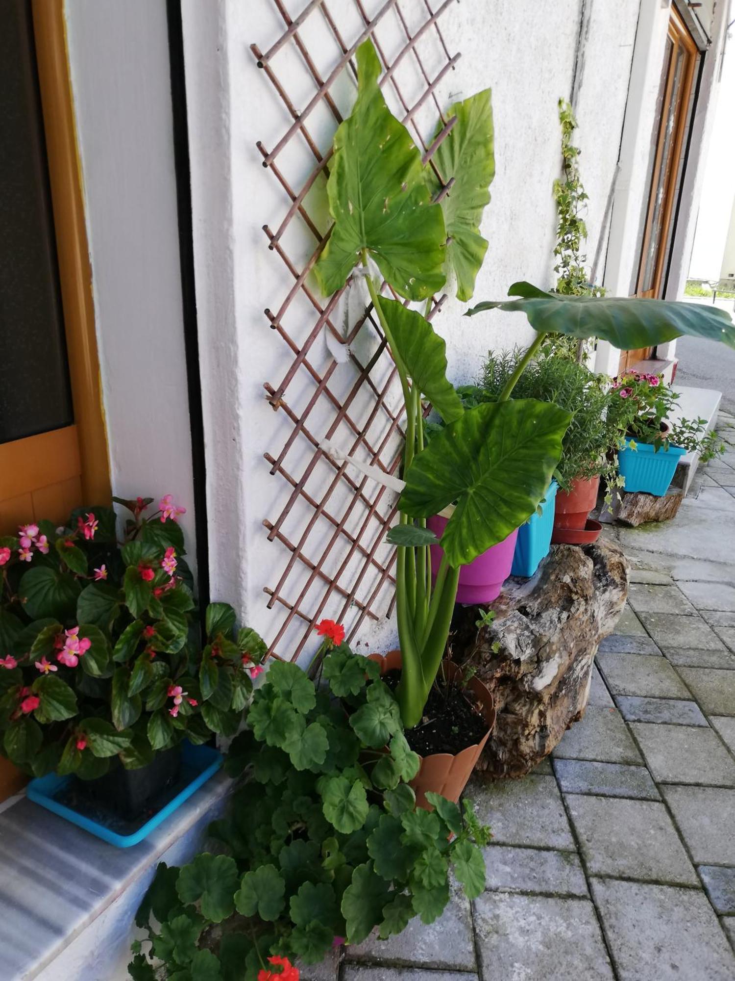 Casa Mia Hostel Vlora Kültér fotó